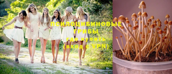бошки Балахна