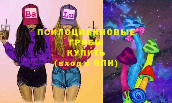 бошки Балахна