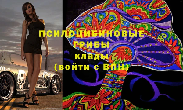 бошки Балахна