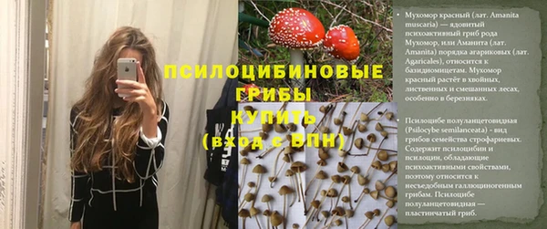 дмт Баксан