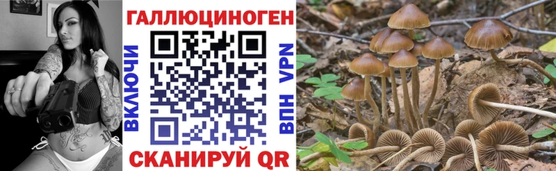 Галлюциногенные грибы MAGIC MUSHROOMS  Купить  Венёв 